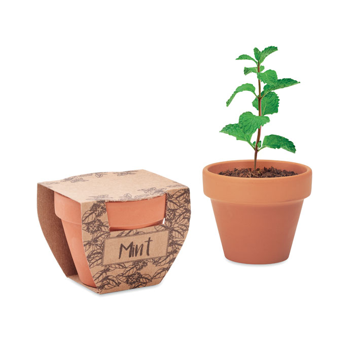 mo2218-40 MINT POT - Afbeelding 1