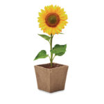 SUNFLOWER KIT - Afbeelding 3