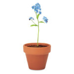FORGET ME NOT - Afbeelding 5
