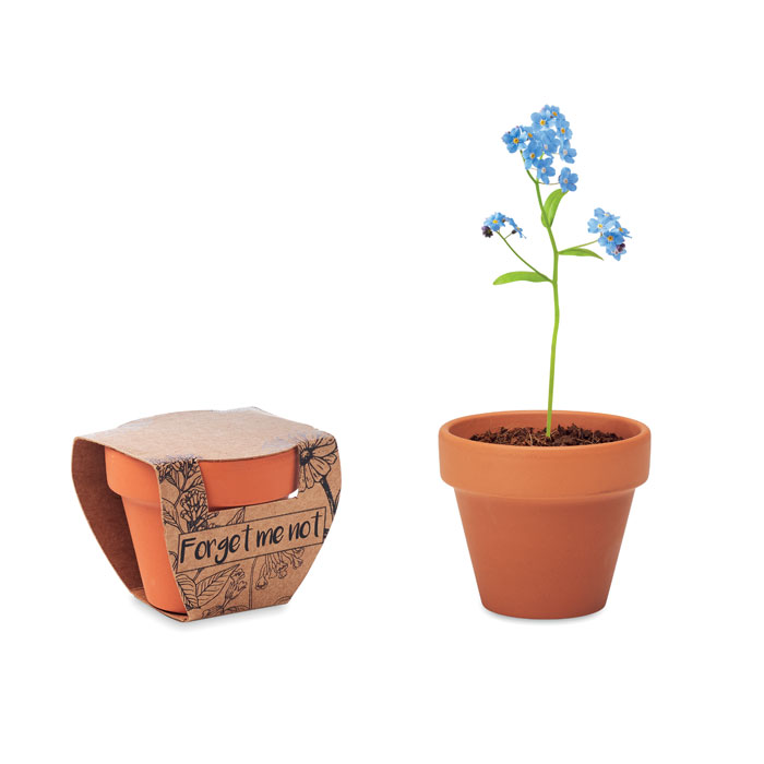 mo6146-40 FORGET ME NOT - Afbeelding 1