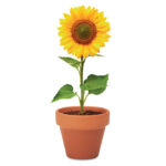 SUNFLOWER - Afbeelding 5