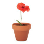 RED POPPY - Afbeelding 4