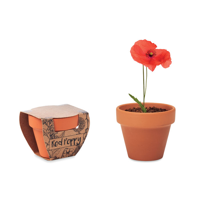 mo6148-40 RED POPPY - Afbeelding 1