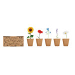 FLOWERS - Afbeelding 4