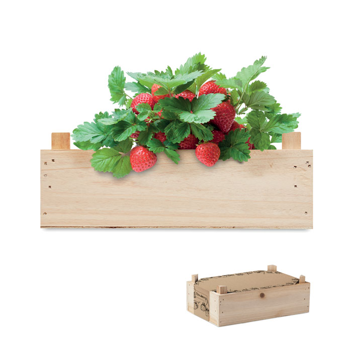 mo6506-40 STRAWBERRY - Afbeelding 1