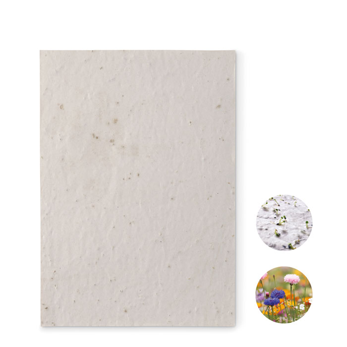 mo6915-06 ASIDE - Afbeelding 1