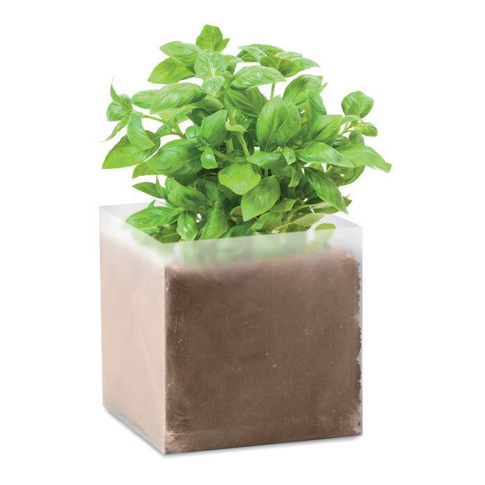 mo9545-13 BASIL - Afbeelding 1