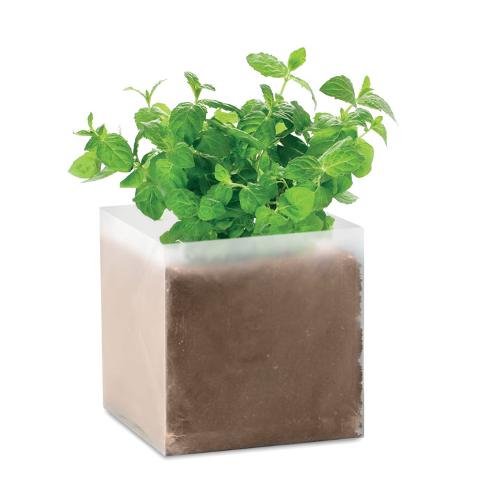 mo9546-13 MINT - Afbeelding 1